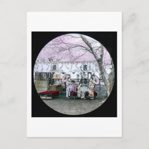 Vintage Japanese Geisha Sit Under Cherry Blossoms Postcard