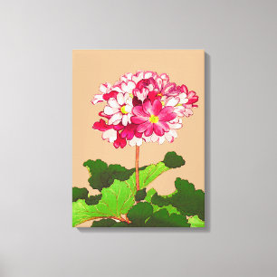 Vintage Japanese Hydrangea. Pink and Green Canvas Print