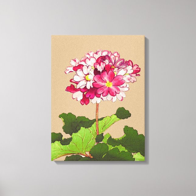 Vintage Japanese Hydrangea. Pink and Green Canvas Print (Front)