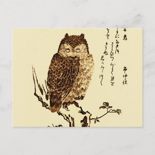 Vintage Japanese Ink Sketch of an Owl Postcard (Front)