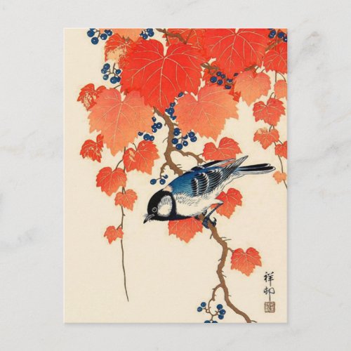 Vintage Japanese Jay Bird and Autumn Grapevine Postcard