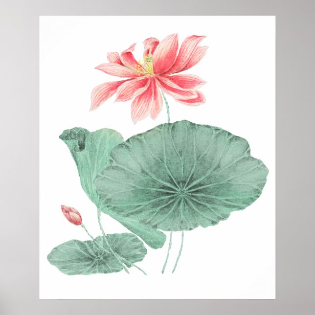 Vintage Japanese lotus art print (Front)