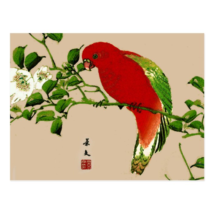 Vintage Japanese Painting Of A Parrot Red Green Postcard