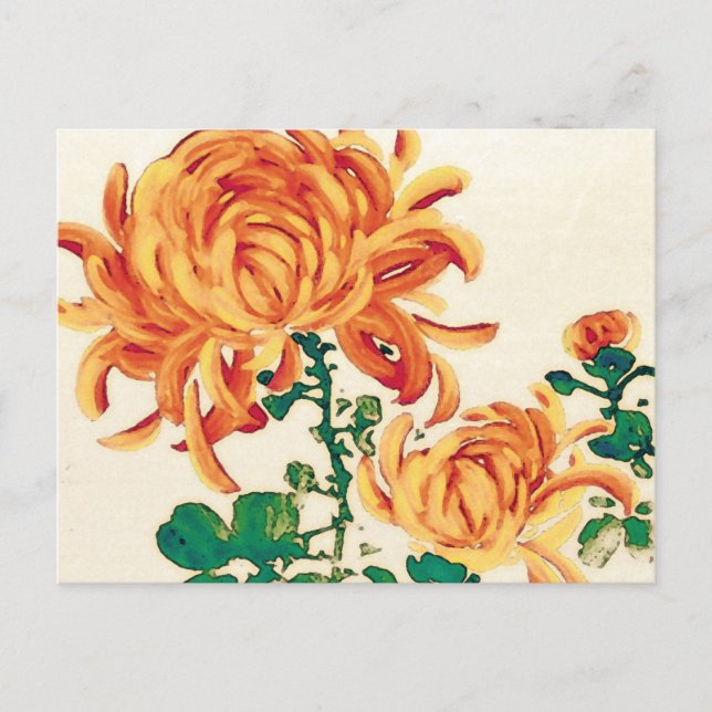 Vintage Japanese Painting of Chrysanthemums Postcard (Front)