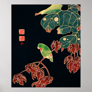 Vintage Japanese Paroquet Bird Poster Print