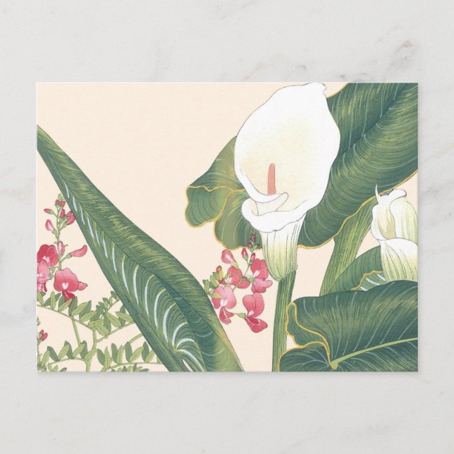 Vintage Japanese Woodblock White Calla Lily Postcard (Front)