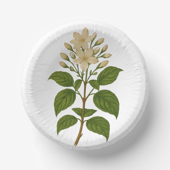 Vintage Jasmine Paper Bowls (Front)