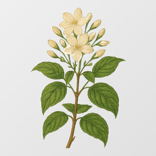 Vintage Jasmine Window Cling