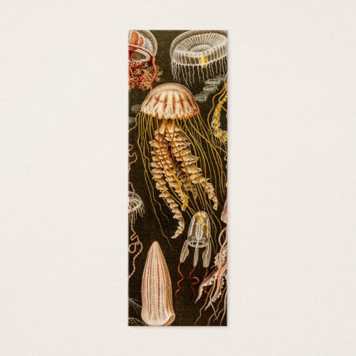 Vintage Jellyfish Antique Jelly Fish Illustration Business Card Template