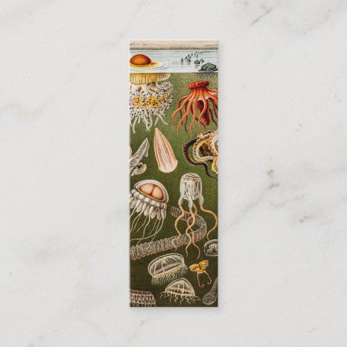 Vintage Jellyfish Antique Jelly Fish Illustration Business Card