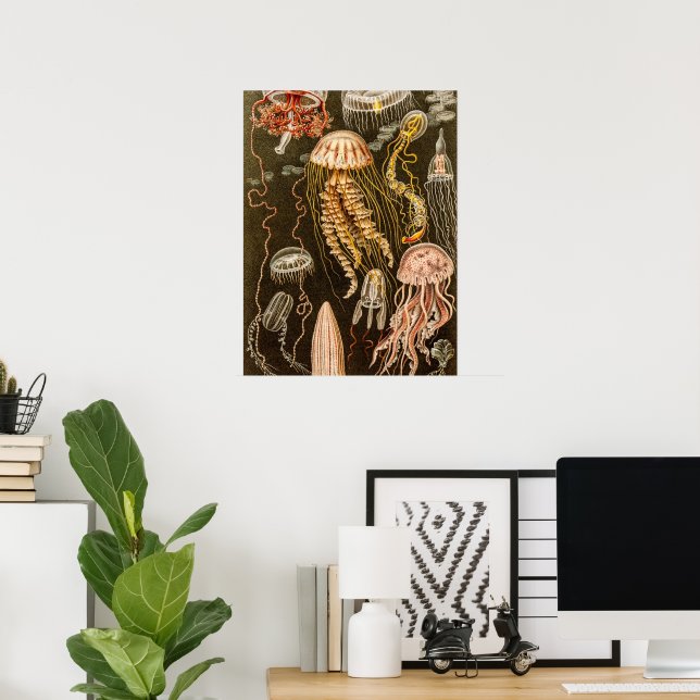Vintage Jellyfish Antique Jelly Fish Illustration Poster | Zazzle