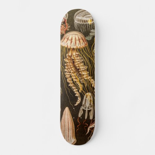 Vintage Jellyfish Antique Jelly Fish Illustration Skateboard