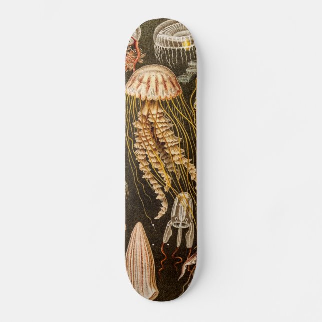 Vintage Jellyfish Antique Jelly Fish Illustration Skateboard (Front)