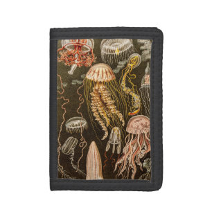 Vintage Jellyfish Antique Jelly Fish Illustration Trifold Wallet