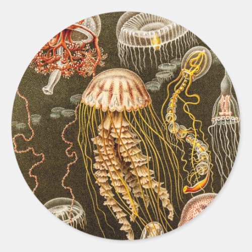 Vintage Jellyfish Antique Jelly Fish Template Classic Round Sticker
