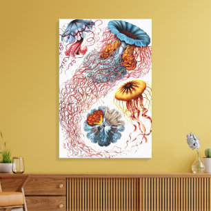 Vintage Jellyfish by Ernst Haeckel, Discomedusae Canvas Print
