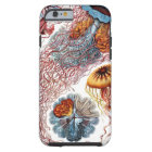 Vintage Jellyfish by Ernst Haeckel, Discomedusae