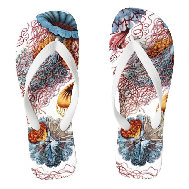 Vintage Jellyfish by Ernst Haeckel, Discomedusae Flip Flops (Footbed)