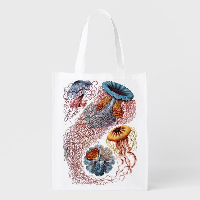 Vintage Jellyfish by Ernst Haeckel, Discomedusae Grocery Bag (Front)