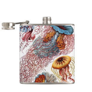 Vintage Jellyfish by Ernst Haeckel, Discomedusae Hip Flask