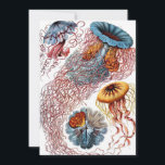 Vintage Jellyfish by Ernst Haeckel, Discomedusae Invitation<br><div class="desc">Easy to personalize, just click the "customize" button and use the design tools to create a unique invitation or announcement. Vintage illustration marine life biology design by Ernst Haeckel. A variety of colorful jellyfish animals swimming in the waters of the sea. Jelly fish are free swimming aquatic animals with an...</div>