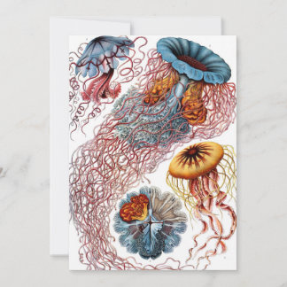 Vintage Jellyfish by Ernst Haeckel, Discomedusae Invitation