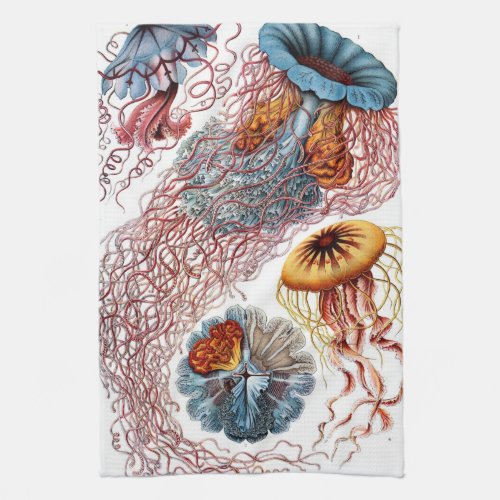 Vintage Jellyfish by Ernst Haeckel Discomedusae Kitchen Towel