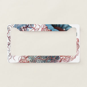 Vintage Jellyfish by Ernst Haeckel, Discomedusae License Plate Frame