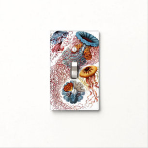 Vintage Jellyfish by Ernst Haeckel, Discomedusae Light Switch Cover