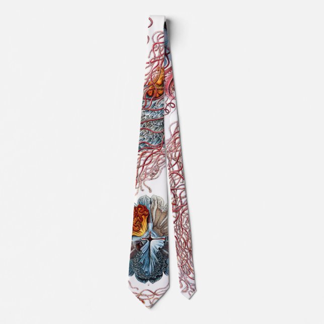 Vintage Jellyfish by Ernst Haeckel, Discomedusae Neck Tie (Front)