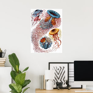Vintage Jellyfish by Ernst Haeckel, Discomedusae Poster