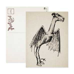 Vintage Jersey Devil Postcard