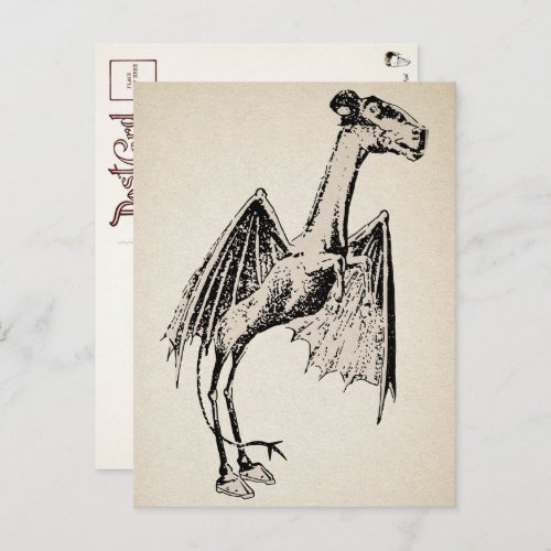 Vintage Jersey Devil Postcard 