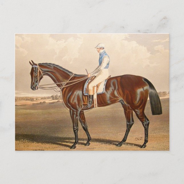 Vintage Jockey On Racehorse Postcard (Front)