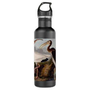 Vintage John James Audubon White Ibis Bird Classic Water Bottle