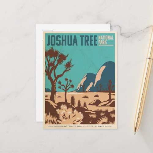 Vintage Joshua Tree national Park illustrated  Postcard