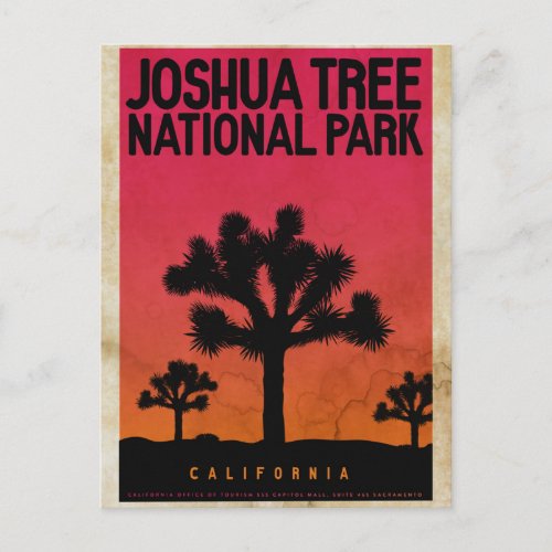 Vintage Joshua Tree Sunset Travel Postcard