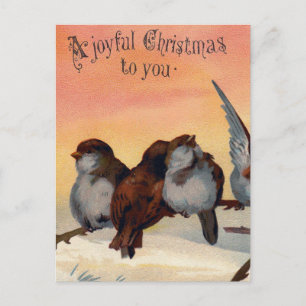 Vintage Joyful Christmas Birds Holiday Postcard