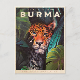 Vintage jungle leopard postcard
