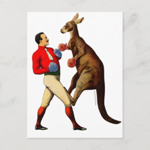 Vintage Kangaroo Boxer Boxing Sport Postcard