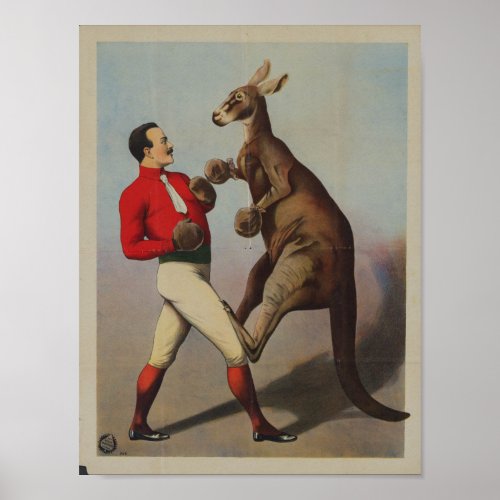 Vintage Kangaroo Boxing Sideshow Poster