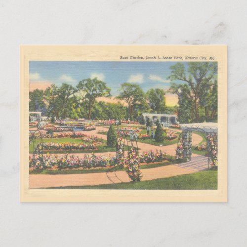 Vintage Kansas City Rose Garden Loose Park Postcard