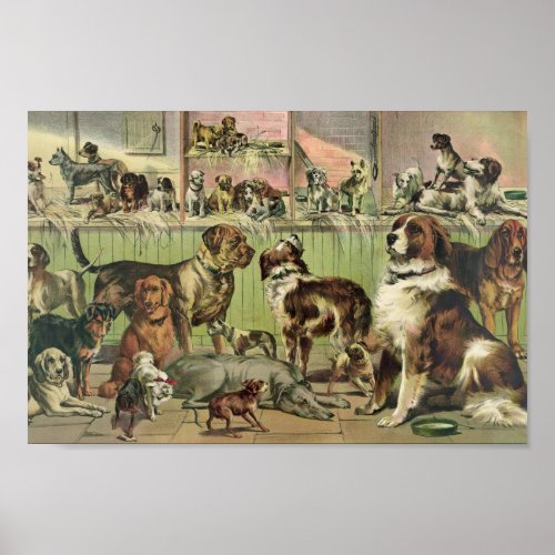 Vintage Kennel Club Illustration Poster