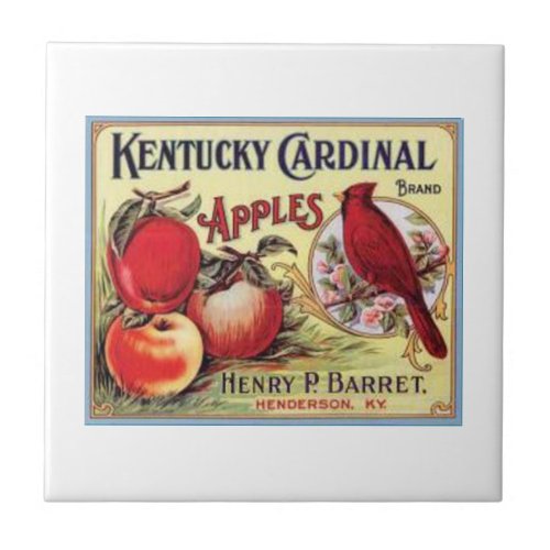 Vintage Kentucky Cardinal Apples Henry P Barret  Tile