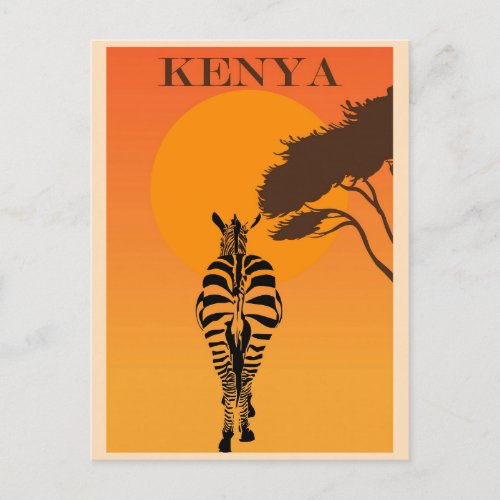 Vintage Kenya Africa African Zebra Travel Postcard