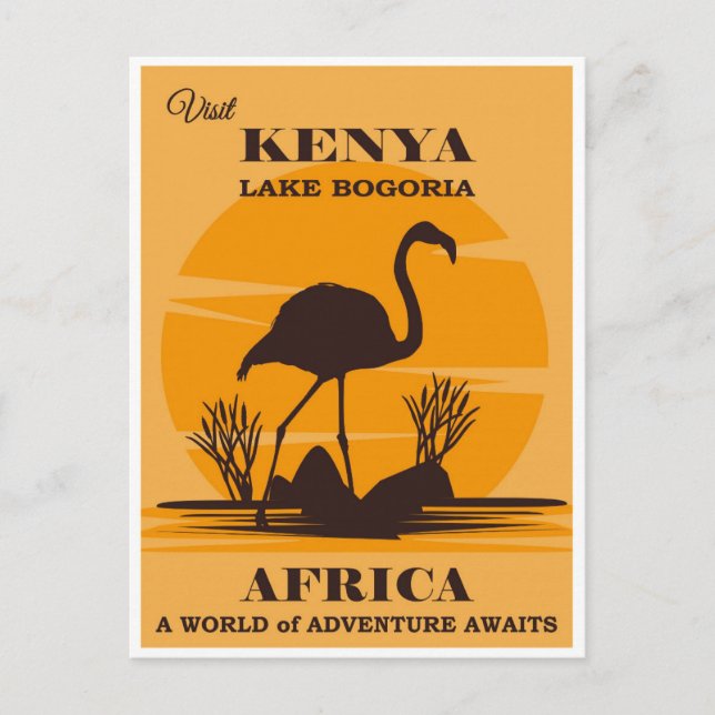Vintage Kenya Africa Lake Bogoria Flamingo Postcard (Front)