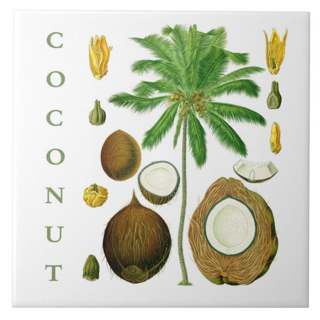 Vintage Kitchen Art: Coconut Tree & Flower Ceramic Tile (Front)