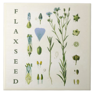 Vintage Kitchen Art: Flaxseed Linseed Flax Plant Ceramic Tile
