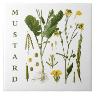 Vintage Kitchen Art: Mustard Herbs & Spices Plants Ceramic Tile