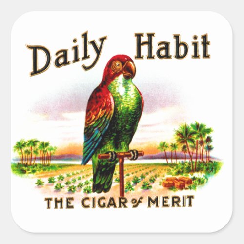 Vintage Kitsch Cigar Box Parrot Daily Habit Label